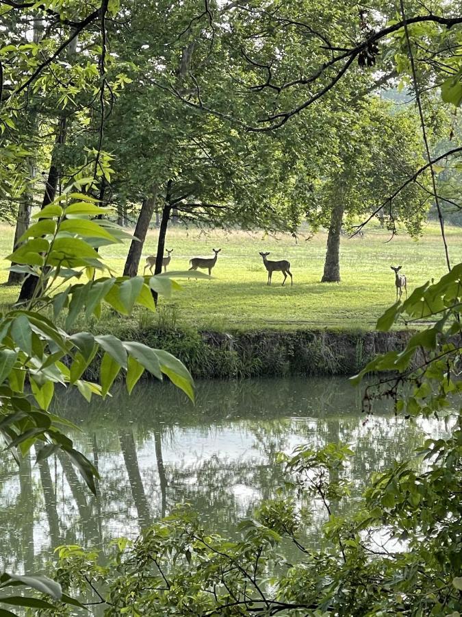 Htr Tx Hill Country Campground Kerrville Buitenkant foto